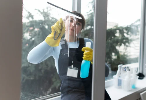 Nettoyage de vitres intérieures et extérieures à Écorcei